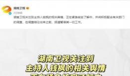 娱乐圈吃瓜运营模式,吃瓜运营模式背后的秘密与技巧